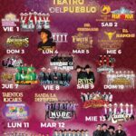 programa feria del rebozo santa maría del río 2025